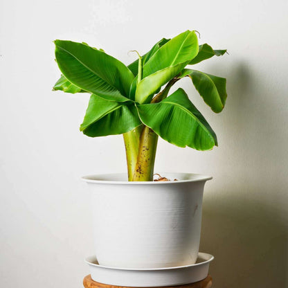 2549002_Atmosphere_01_SQ_71982ec2-32df-4e82-8d7e-f171a56ac05e