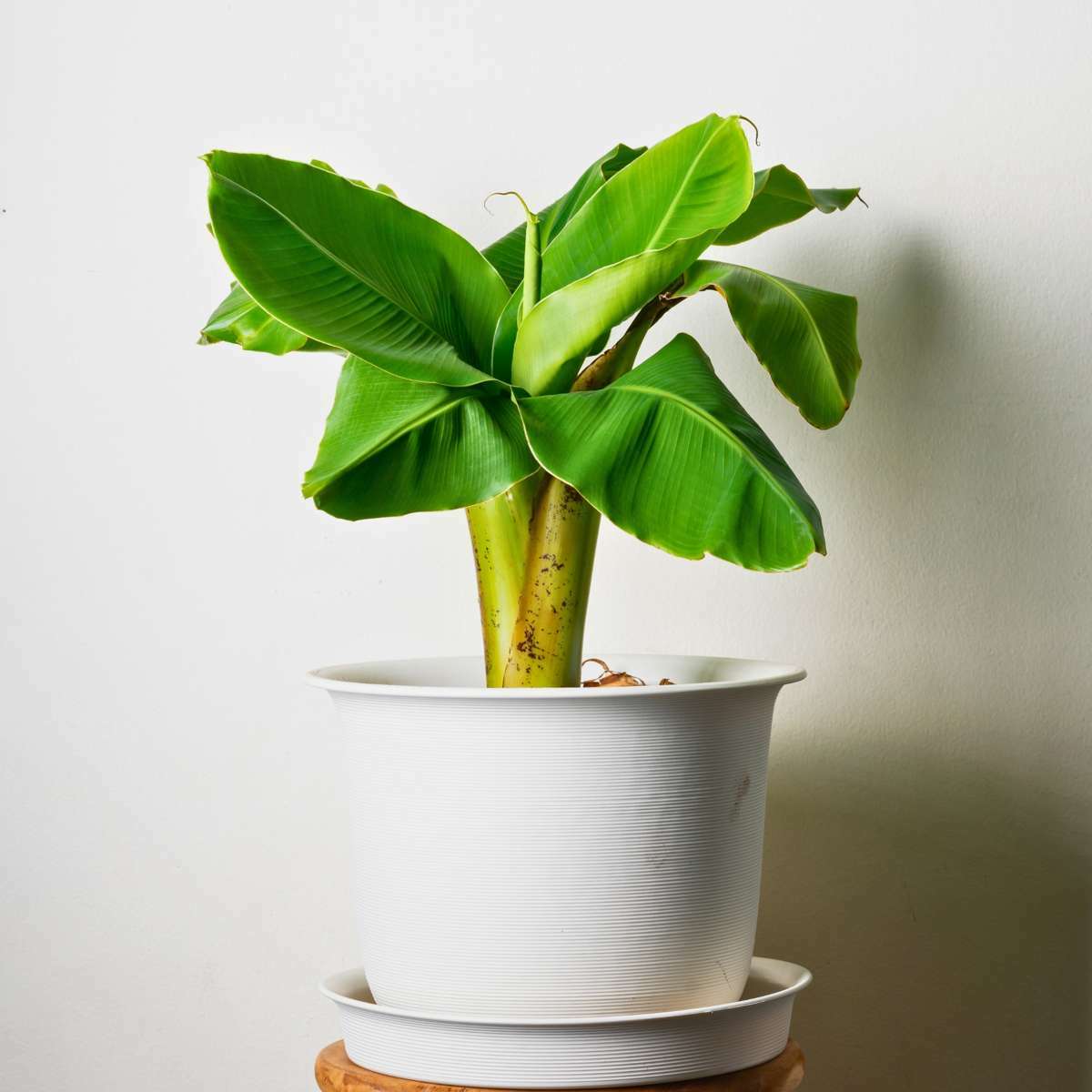 2549004_Atmosphere_01_SQ_0ecdc46c-2b46-4a03-ab2c-15a76437ae11