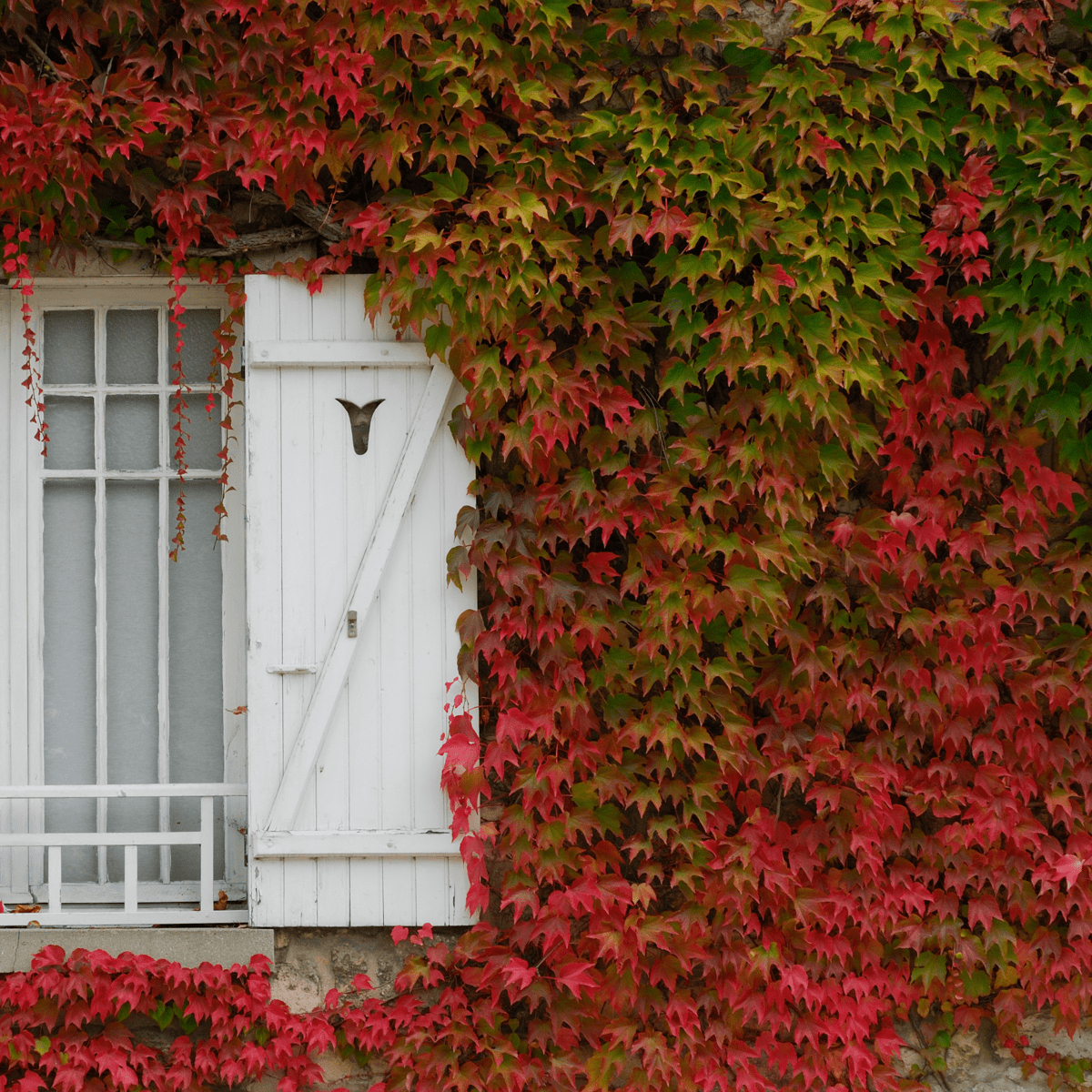 2552006_Atmosphere_05_SQ_0977784d-9dd7-4126-bf09-ec7e43aa1862