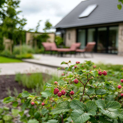 2584003_Atmosphere_02_SQ_MJ_52825ab5-f356-4544-a138-75128435969c