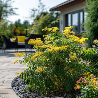 2586003_Atmosphere_02_SQ_MJ_fd1f611f-0b19-45b5-b8ff-c1c3fd7da1e4