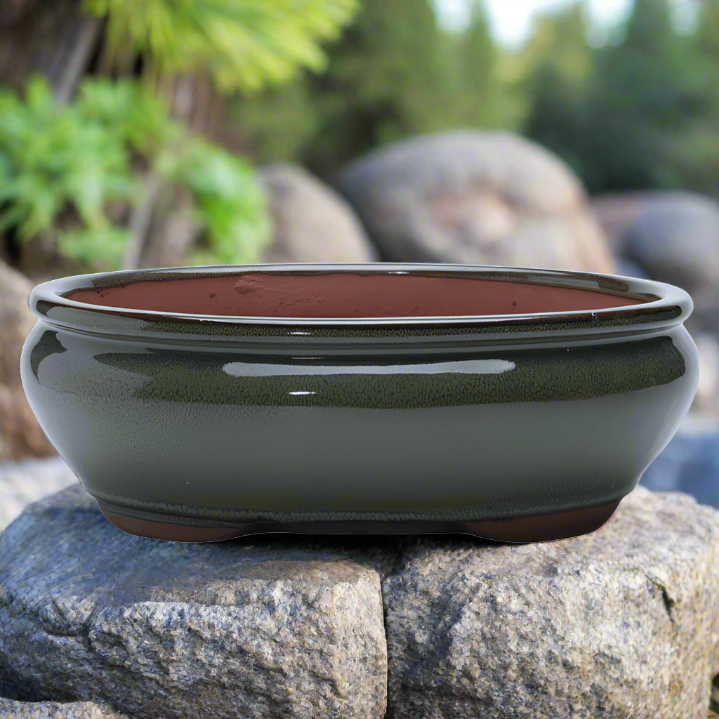 26cm_Glazed_Bonsai_Pot_Oval_26cm_x_20cm_x_6cm_Green_-_Yorkshire_Bonsai-16117