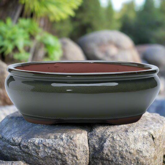 26cm_Glazed_Bonsai_Pot_Oval_26cm_x_20cm_x_6cm_Green_-_Yorkshire_Bonsai-16117