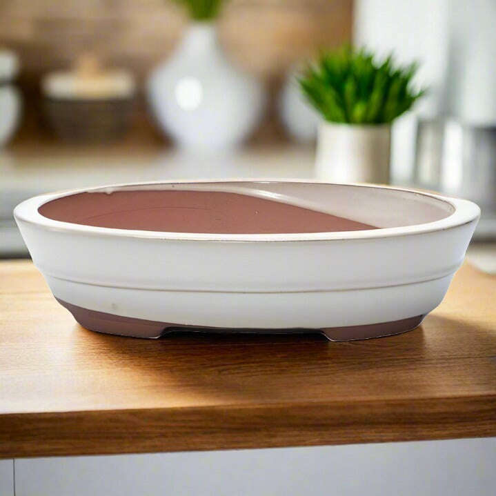 26cm_Glazed_Bonsai_Pot_Oval_26cm_x_20cm_x_6cm_White_-_Yorkshire_Bonsai-16120