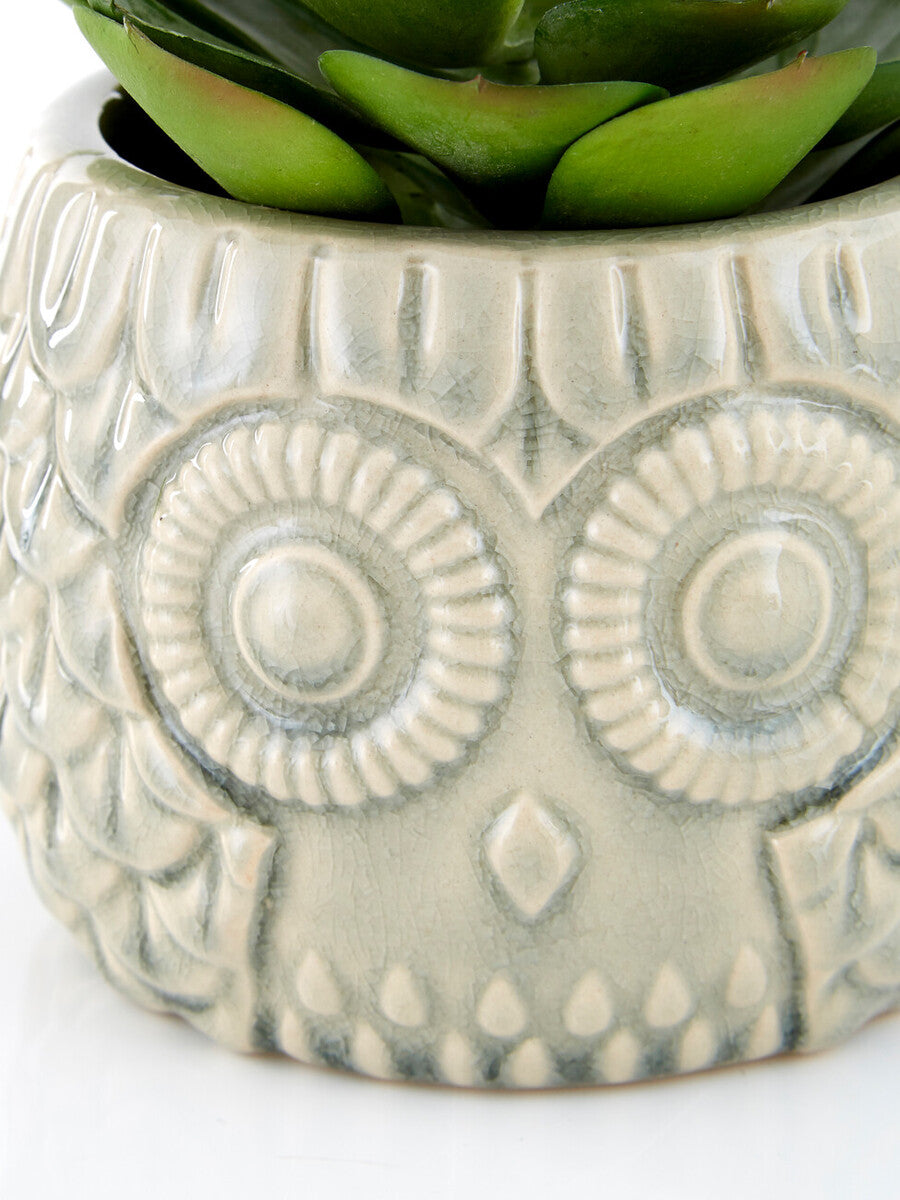 Large Succulent in Grey Ceramic Owl Pot | Fiori