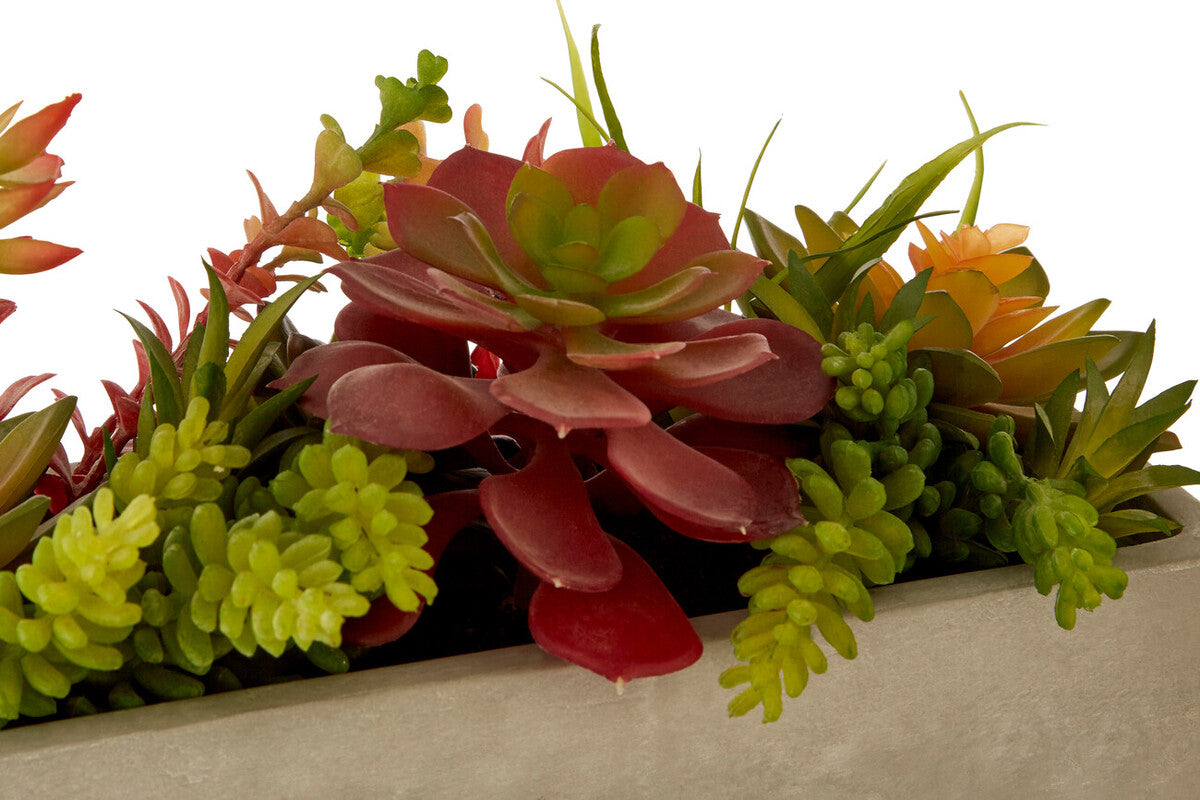 Mixed Succulents with Cement Pot | Fiori