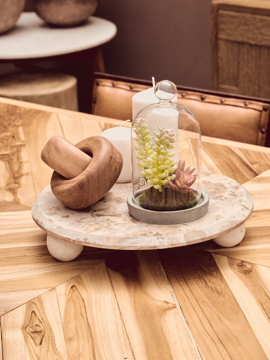 Small Succulent Dome with Cement Base | Fiori