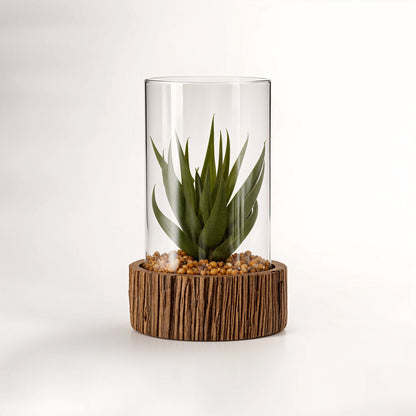 Small Succulent with Natural Stone Base | Fiori