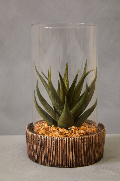 Small Succulent with Natural Stone Base | Fiori