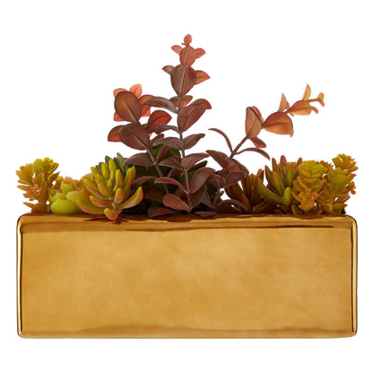 Mixed Succulents with Gold Ceramic Pot | Fiori