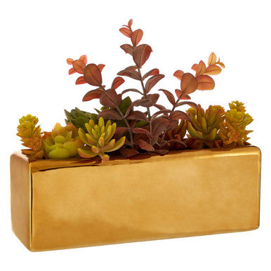 Mixed Succulents with Gold Ceramic Pot | Fiori