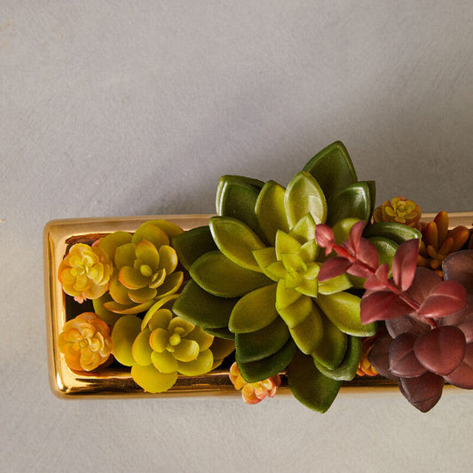 Mixed Succulents with Gold Ceramic Pot | Fiori