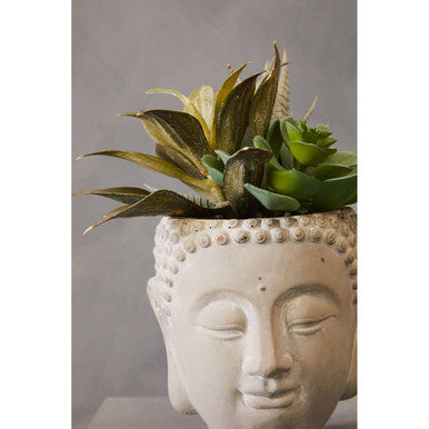 Buddha Pot Mixed Succulent | Fiori