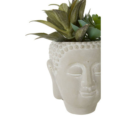 Buddha Pot Mixed Succulent | Fiori