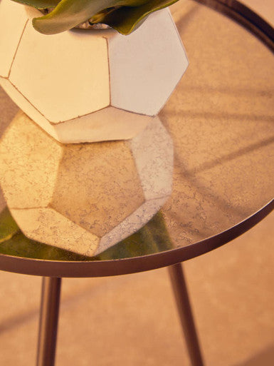 White Cement Pot Succulent | Fiori