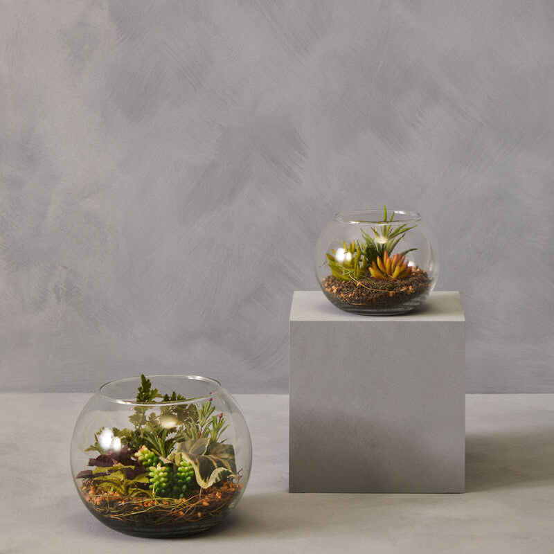 Large Terrarium | Fiori