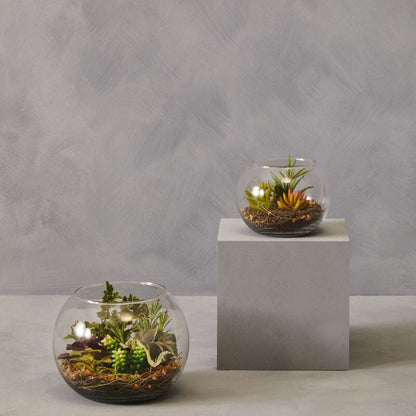 Large Terrarium | Fiori