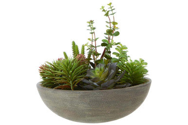 Mixed Succulent in Stone Effect Pot | Fiori