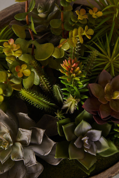 Mixed Succulent in Stone Effect Pot | Fiori