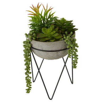 Mixed Succulent with Metal Stand | Fiori