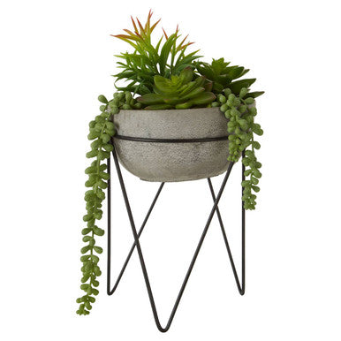 Mixed Succulent with Metal Stand | Fiori