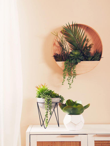 Mixed Succulent with Metal Stand | Fiori