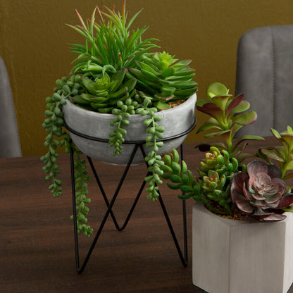 Mixed Succulent with Metal Stand | Fiori