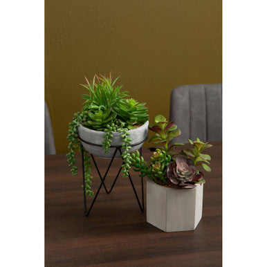 Mixed Succulent with Metal Stand | Fiori