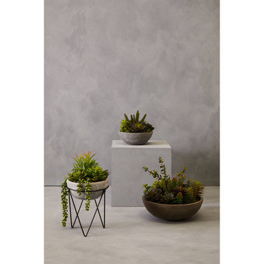 Mixed Succulent with Metal Stand | Fiori