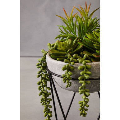 Mixed Succulent with Metal Stand | Fiori