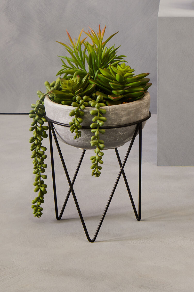 Mixed Succulent with Metal Stand | Fiori