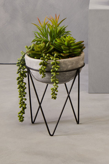 Mixed Succulent with Metal Stand | Fiori