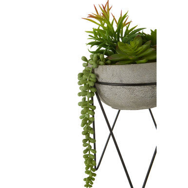 Mixed Succulent with Metal Stand | Fiori