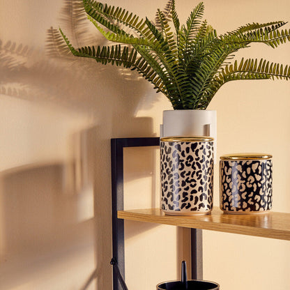 Fern in White Cement Pot on Stand | Fiori