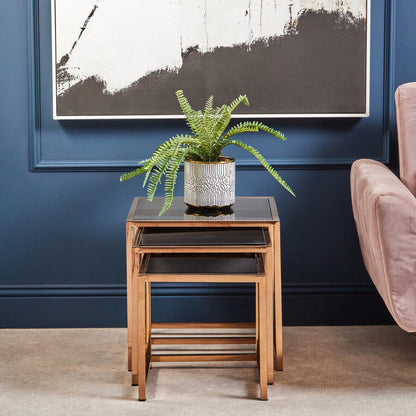 Fern in White Cement Pot on Stand | Fiori