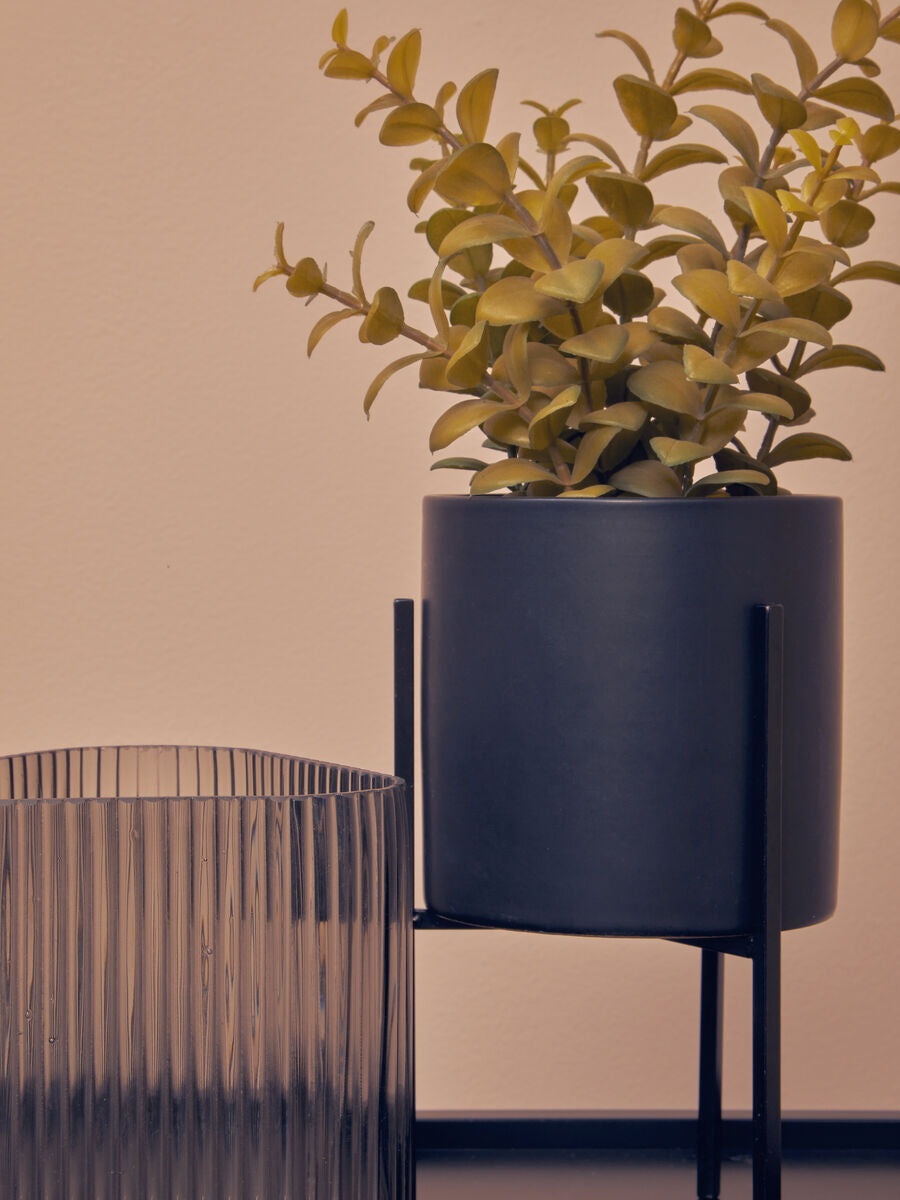 Thyme in Black Pot with Stand | Fiori