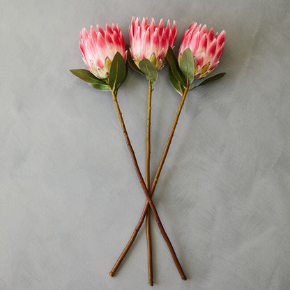 Pink Protea Flower Stem | Fiori Artificial flowers