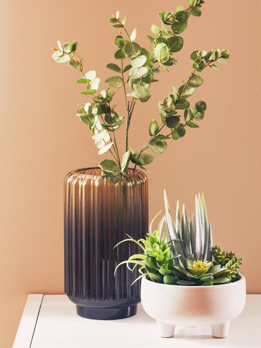 Mixed Succulents in Large Ceramic Pot | Fiori