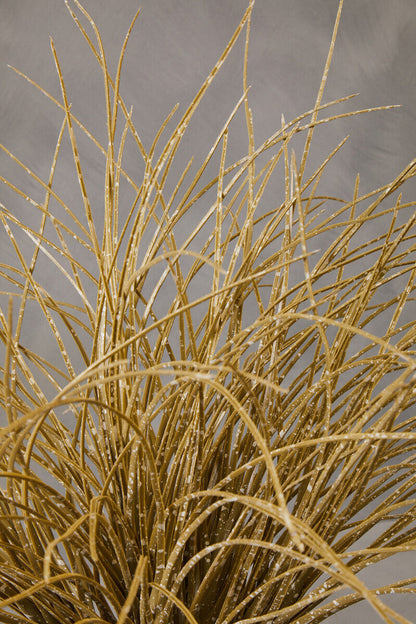 Grass Plant in a Pot | Fiori