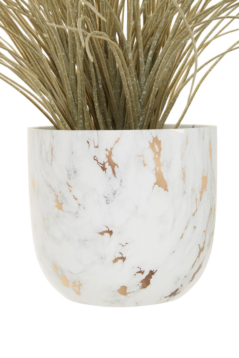 Grass Plant in a Pot | Fiori