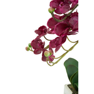 Purple Orchid in Silver Pot | Fiori