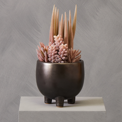 Mixed Succulents in Ceramic Pot | Fiori
