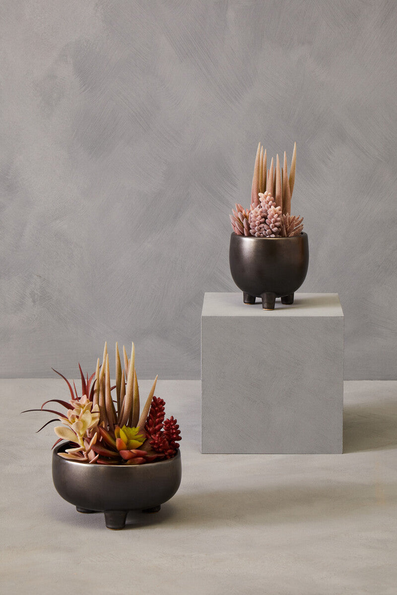 Mixed Succulents in Grey Ceramic Pot | Fiori