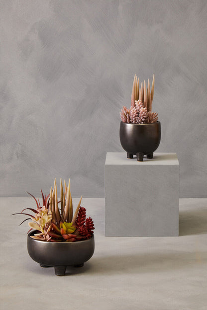 Mixed Succulents in Grey Ceramic Pot | Fiori