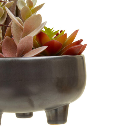 Mixed Succulents in Grey Ceramic Pot | Fiori