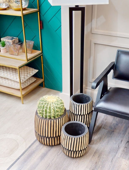 Round Cactus in Pot | Fiori