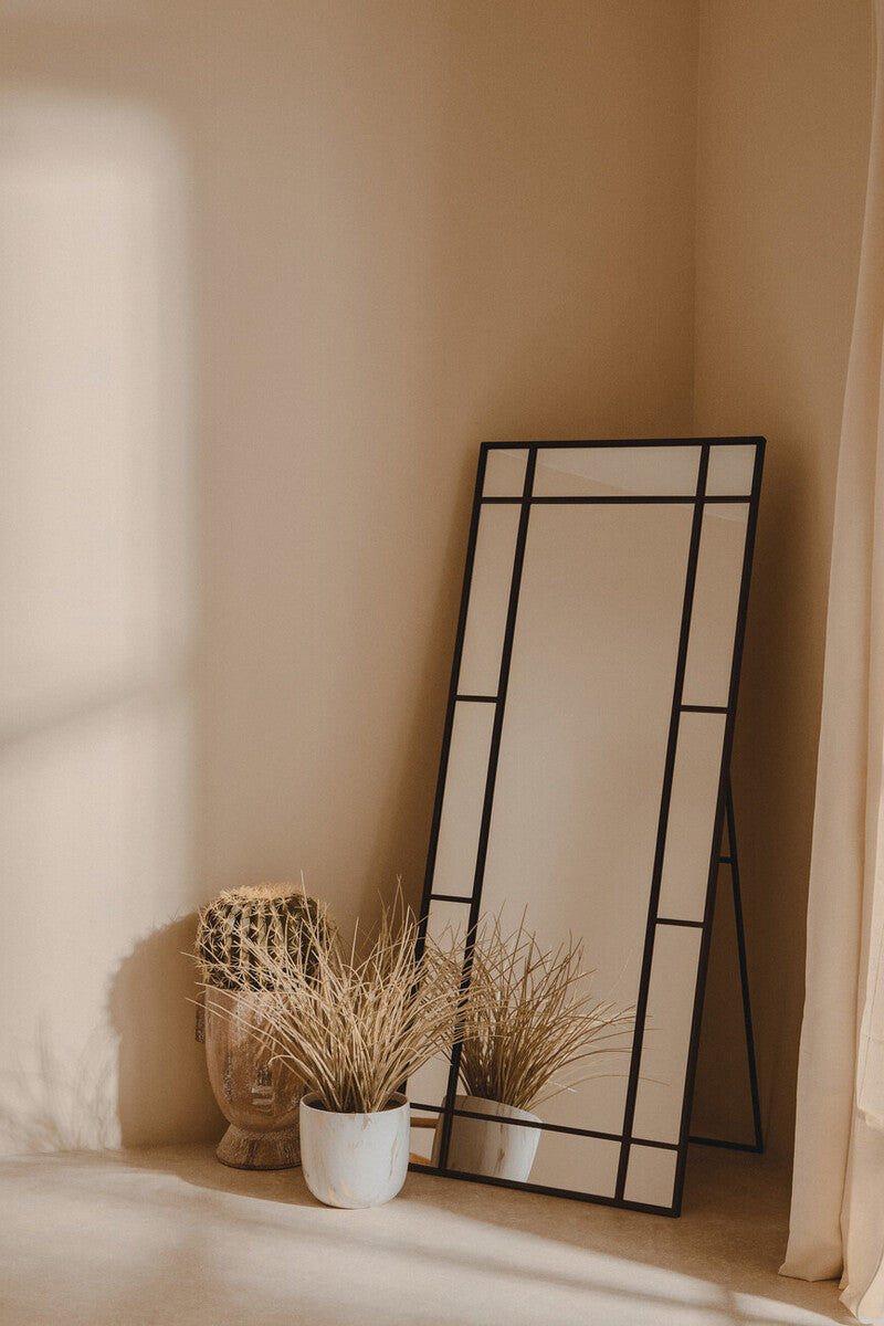 Round Cactus in Pot | Fiori