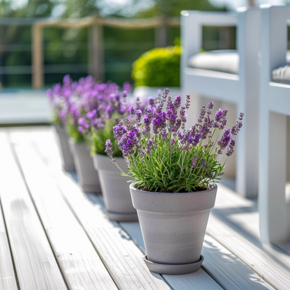 2907151_Atmosphere_02_SQ_23863358-f326-486a-99fe-f129ea3ec2e8