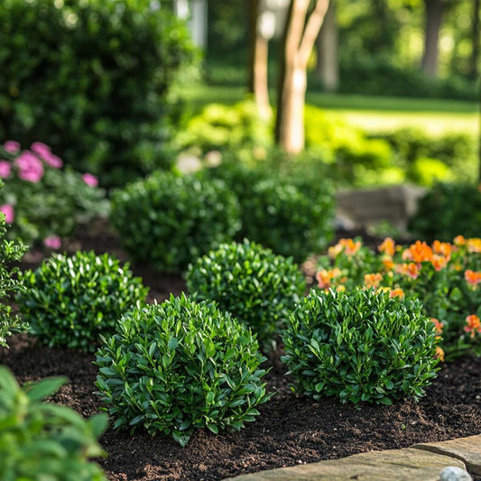 2920012_Atmosphere_02_SQ_MJ_d30570c5-d62f-45bf-a241-7888150973ef