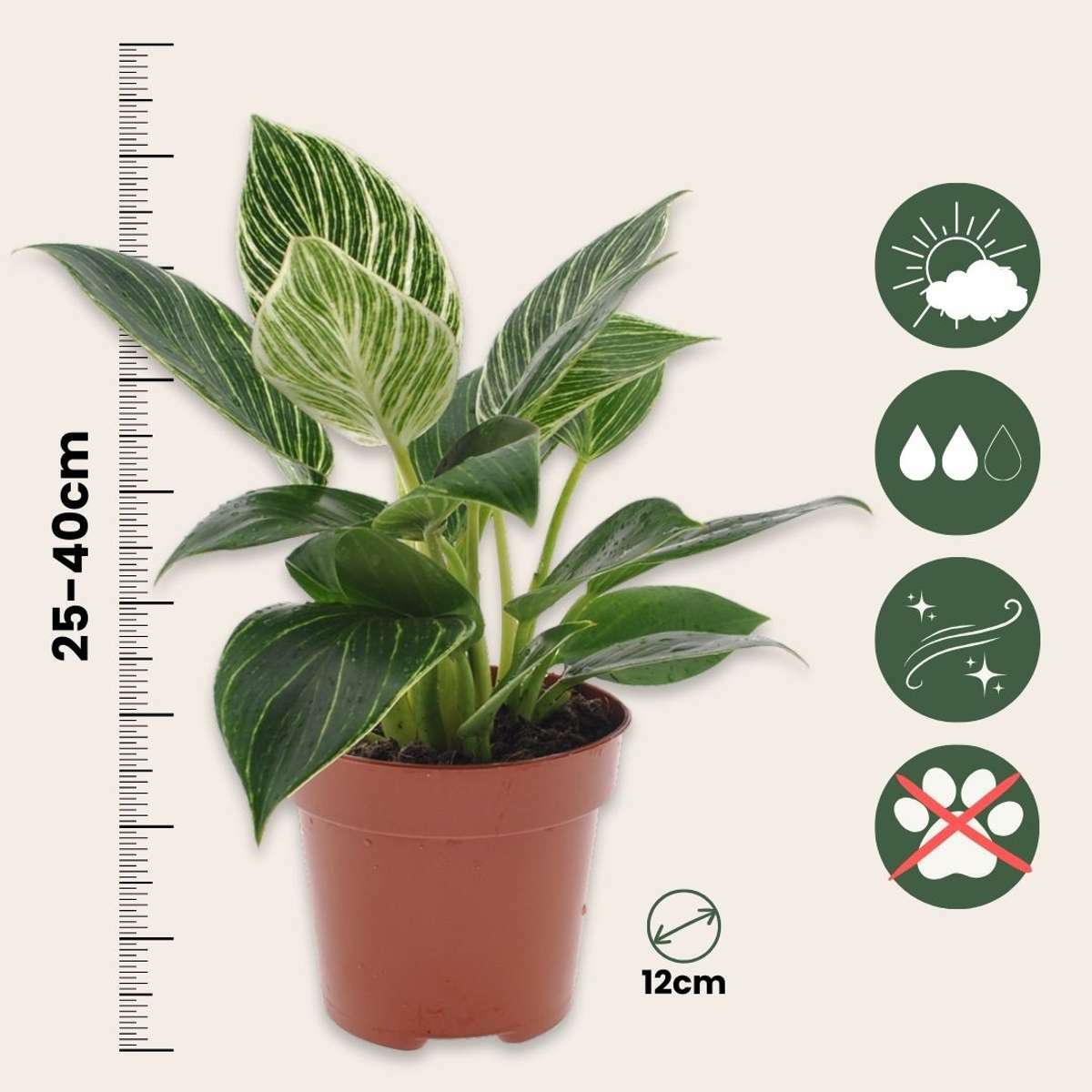 3124122_Sizeindicator_01